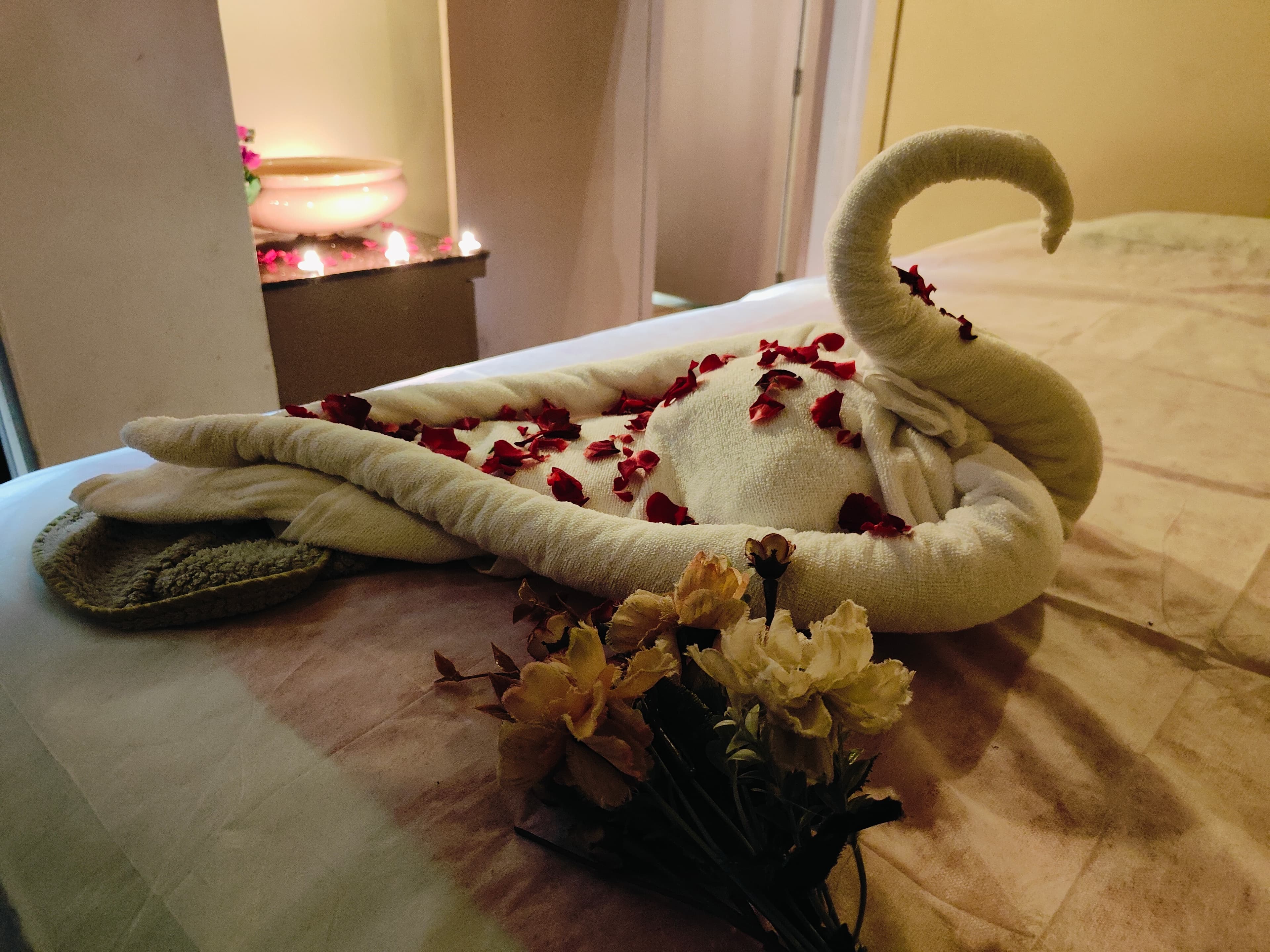 Reva Wellness Spa Gallery 6